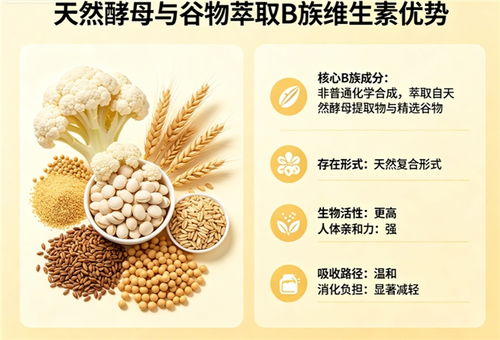 维生素b族哪个品牌吸收好 2026第三方生物利用率实测榜单与微囊工艺盘点